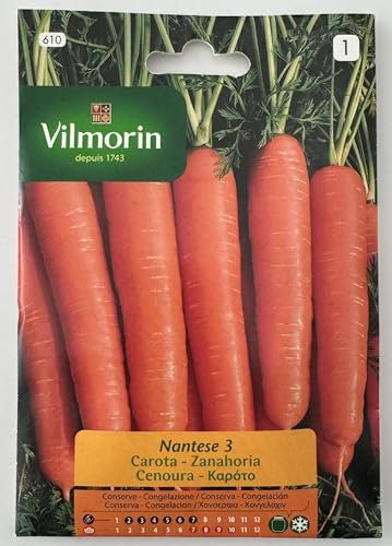 Semi Carota Nantese S1-610, 8g Confezione 10 bustine