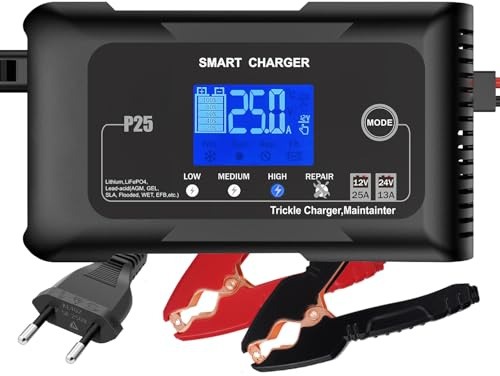 Haisito Chargeur de batterie de voiture 25 A, 12 V, 24 V, 25 A, chargeur de maintenance et désulfuration, convient pour lithium, LiFePO4, acide plomb (AGM, gel, EFB, MF), motos, voitures, bateaux
