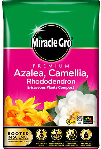 Miracle-Gro Premium Eracacious Compost - Azelea, Camelia, Rhododendron, 40 Litre