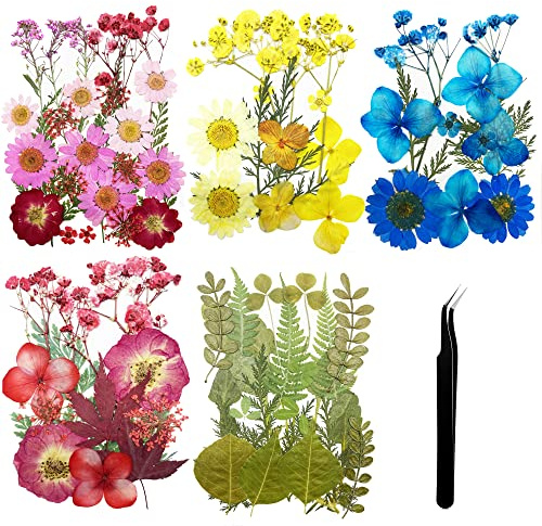 Cayway 84 Pz Naturales Flores Prensadas Secas, Hojas Prensadas Secas Naturales con Pinzas Tijeras, Flores Secas Reales para Resina para Resina Scrapbooking, Joyería de Resina Epoxi