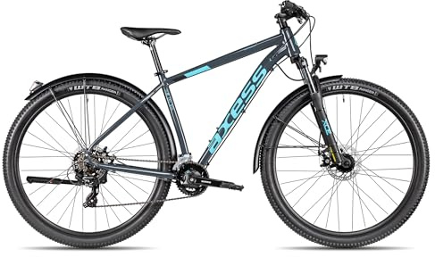 Axess Sandee ATB | straßentaugliches Herren-Mountainbike | MTB-Hardtail | 14-Gang Schaltung | Mechanische Scheibenbremsen, Farbe:Grey, Rahmengröße:19 Zoll