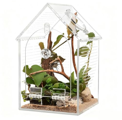 Spider Enclosures - Escape-Proof Isolation Habitat, 360-View Jumping Spider Terrarium For Small Pet Reptile | High-Transparency Acrylic Habitat For Enthusiast Friends And Indoor Home