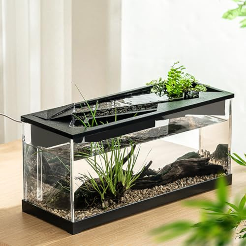 Niwugady Piccolo acquario da tavolo con pompa e luce ad alta trasparenza in acrilico rettangolare per soggiorno
