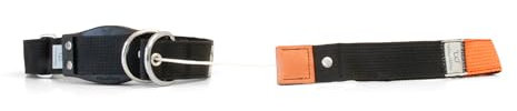 WowWow Professional Hundehalsband mit Leine - schwarz - Größe M 37-46 cm, 195g leicht, innovatives Halsband mit integrierter Leine - bekannt aus der Höhle der Löwen