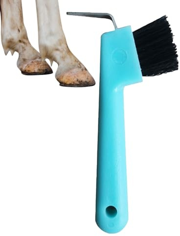 Kasmole Piccone per Zoccoli di Cavallo - Spazzole per E Nettazoccoli con Spazzola per La Pulizia del Cavallo 2 in 1,Pick per Zoccoli per la Pulizia del Cavallo, lucidatura per Zoccoli di Cavallo,