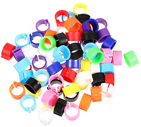 EXCEART Birdies Pigeon Foot Ring 100Pcs Plastic Bird Leg Band Rings Multi-Color Leg Rings Bird Clips Ankle Band Racing Pigeon Bands for Pigeon Dove Chicks Bantam