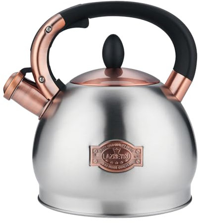 Bouilloire sifflante 2,8 L pour induction, bouilloire à thé en acier inoxydable pour tous types de plaques de cuisson