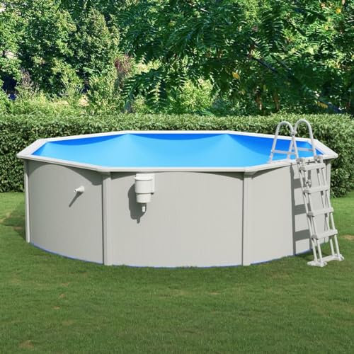 Rainery Piscine avec échelle de sécurité 460x120 cm, Piscine Hors Sol Montage et Démontage Facile