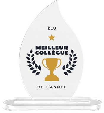 Kiribou Trophée “Élu Meilleur Collègue De L’Année” – Cadeau pour Célébrer Son Collègue Préféré