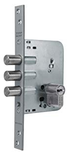 Tesa Assa Abloy R101B666C Cerradura De Seguridad Monopunto de Embutir Para Puertas Niquelado Cilindro 30 x 30 mm R101B