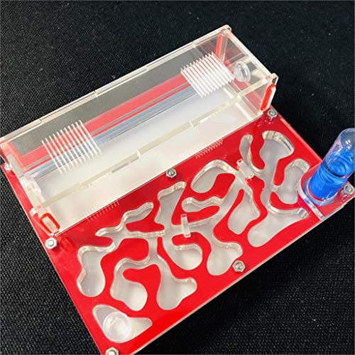 Formicarium Naturelle pour Ferme à Fourmis pour Tube à essai de Fourmis Live Humidité Grand Espace Nid de Fourmis en Acrylique, Fourmilière Insectes(Rouge)