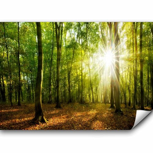 murando PREMIUM Papier peint Foret 350x256 cm Décoration Murale XXL Poster Tableaux Muraux Tapisserie Photo Trompe l'oeil Paysage Nature Rayon de soleil c-B-0663-a-a