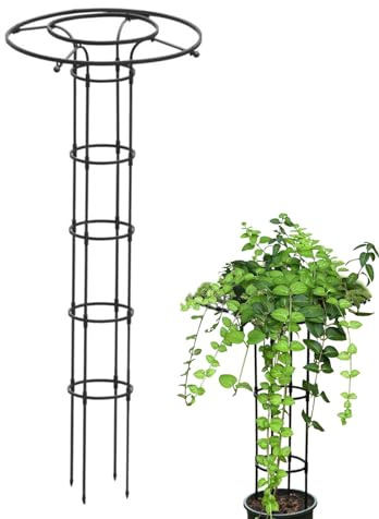 Obélisque de Jardin 180cm | Tuteur pour Plantes Grimpantes | Treillis en Forme de Tour pour Fleurs et Soutien de Plantes