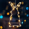 Fiada Osterdeko LED Fenster Licht Hängend Osterhasen Eisen Lichterkette Beleuchtet Geschenke zum Aufhängen Lichter Beleuchtung Ostern Mehrfarbige Lichter mit Timer (Ohne Batterien)(1 Set,Hasen)
