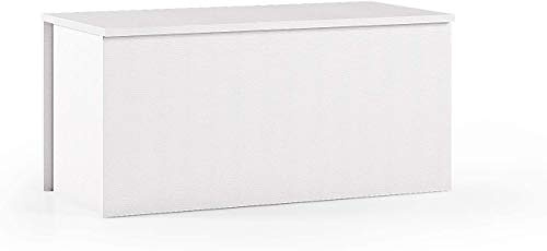 Terraneo baule contenitore bianco con chiusura rallentata soft-close – Mobile salvaspazio pratico e sicuro, dimensioni 90x45x45 cm, ideale per soggiorno, ingresso o camera