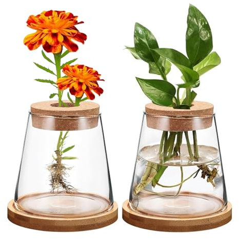 MeYuxg Lot de 2 Stations de Culture Terrarium Plante Verre- Jardinière en Bouteille - Vase en Verre - Station d'eau pour Culture hydroponique, Maison, Bureau, décoration de Table