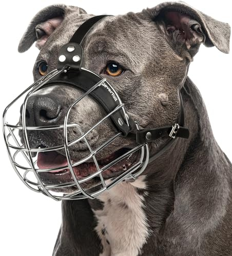 CleverTail Metal Pitbull Muzzle for Large Sized Dog – Basket Muzzle for Dogs with Adjustable Leather Straps – Steel Cage Dog Muzzles to Prevent Biting – Mouth Guard for Large and Medium Pitt Bull