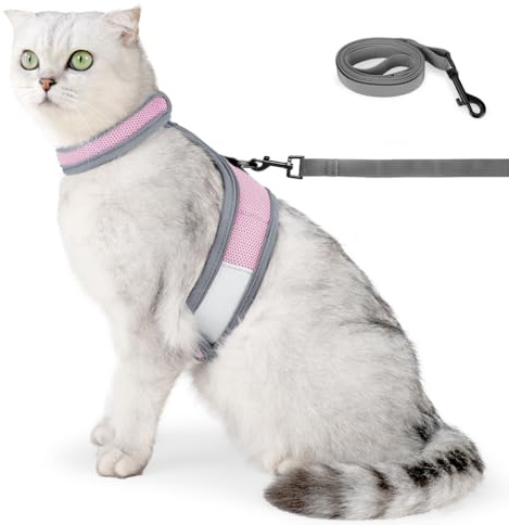 Kattsele, kattselar i reflekterande nät med koppel och D-formad metallspänne för katter, träning, jogging, promenader