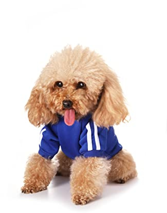 Puppy Hoodies & Sweatshirts - Dog Winter Clothes, Cotton Fleece for Small, Medium & Large Dogs & Cats