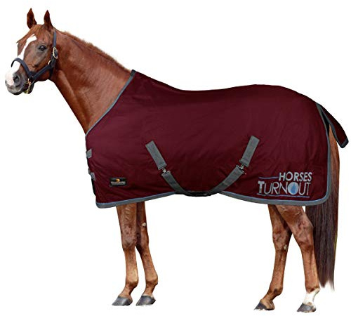 Horses, Coperta da Paddock per Cavallo Turnout 200 gr, Impermeabile, Imbottita, Resistente, con Cinghie ad Incrocio, Bordeaux 128 cm