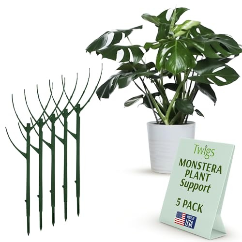 Twigs Ga - Stackable Monstera Plant Support Stakes, Climbing Support for Indoor & Outdoor Use, Plant Accessories, Aesthetic Alternative to Moss Poles & Trellises – Monstera Green, 5 Pack, 17 L
