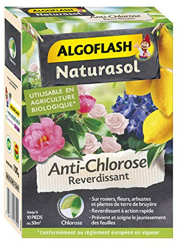Algoflash NATURASOL Anti-Chlorose Reverdissant Toutes Plantes, 100 g, UAB, BIOCLORO10AN
