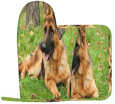 Pastore Tedesco Cane Guanti Da Forno E Pentola Supporti Resistente Al Calore 2pcs Set BBQ Guanti E Pastiglie Per Cottura Cottura Grigliare