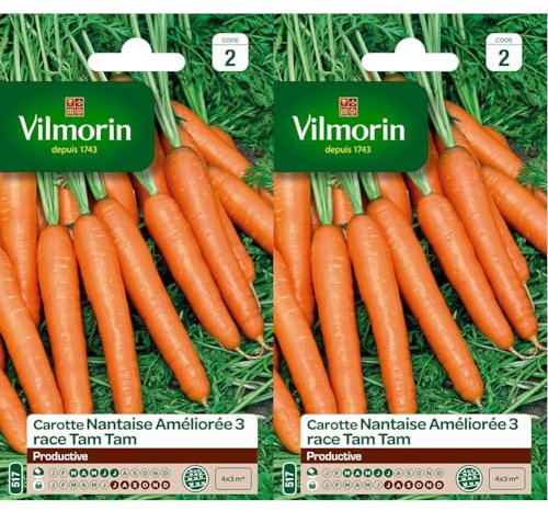 Vilmorin 3193142 Pack de Graines Carotte Nantaise Améliorée 3 Race Tam (Lot de 2)