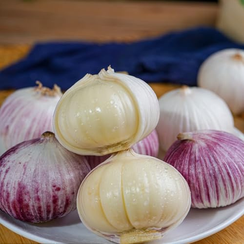 semillas de ajo jardín del balcón jardín interior perennes resistentes de interior balcón invernadero semillas variedades tradicionales ajo 400pcs