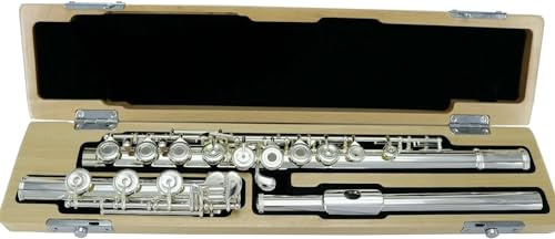Flöjtar, flöjter musikinstrument professionell flöjt handgjord sterlingsilver flöjt huvud B svans tub kropp silverpläterad flöjt