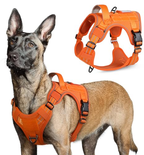 rabbitgoo Tactical Dog Harness for Large Dogs, No Pull Military Service Vest with Handle & Molle, Easy Control for Training Walking, Adjustable Reflective Straps, Orange, L