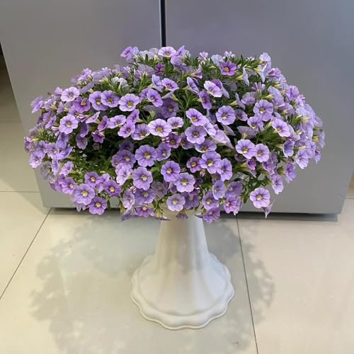 petunia semillas de perennes, resistentes al invierno para balcones, resistentes para jardín, balcón de primavera semillas 500pcs
