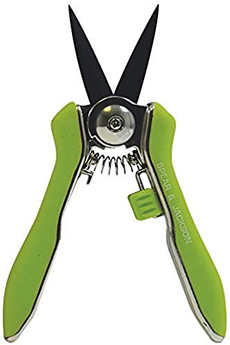 Spear & Jackson 56418G Cisailles de jardin vertes