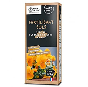 Terra Fertilis - Fertilisant Sols spécial Plantes et Fleurs en pot - Biochar - Stimule la vitalité des plantes d'intérieur - Réduit les besoins en arrosage et en engrais - Boîte 10 sticks de 10 g