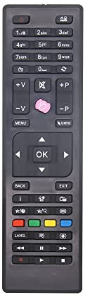 MYHGRC Télécommande RC4875 RC4870 pour Telecommande Continental Edison AYA edenwood Grandin listo techwood Tucson Telefunken Digihome Oceanic CELCUS Bush OKI Technika Finlux