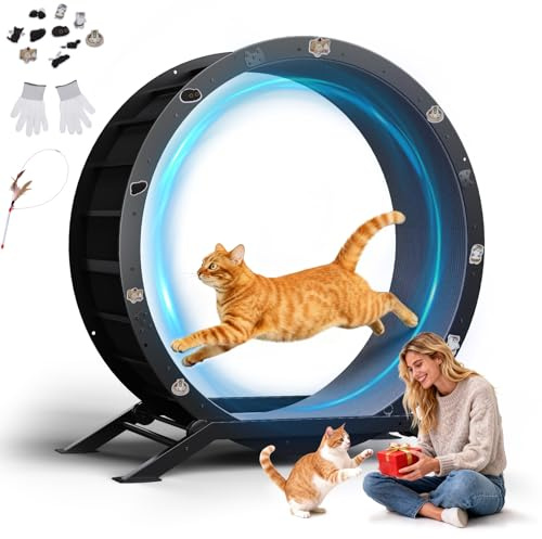 GTPLAYER - Rueda para gato, rueda de ejercicio para gatos, XL- 100 cm, ultra silenciosa con alfombra extraíble, pegatinas, sistema de bloqueo, metal, negro, regalos para tus gatos
