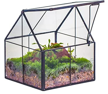 NCYP Geometriskt växtterrarium i miniglas med lock – 10,8 x 12,5 cm – svart stängning planteringskruka för små suckulenter luftväxter – handgjord, hem trädgård kontor bordsdekor (terrarium endast)