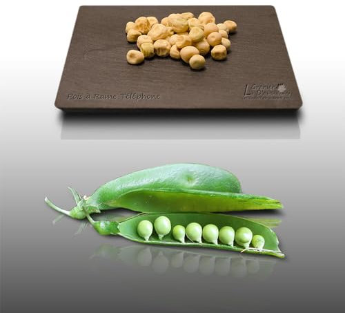 75 grammes de graines à semer - Le Grenier d'Abondance - POIS à rames Téléphone - Pisum sativum