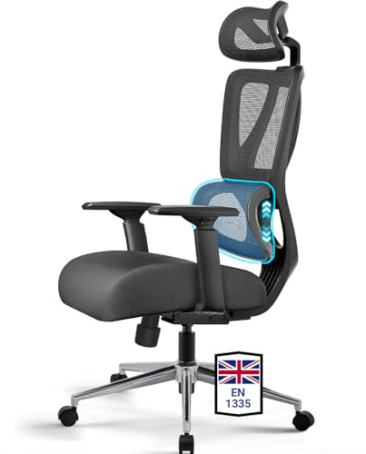 MELOKEA Ergonomic Office Chair with 6D Domino Adjustable Lumbar Support and Spring Cushion Seat, 6D Armrests, 3-Position Tilt Lock, High Back Swivel Mesh Computer Desk Gaming Chair, EN12520
