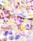 ZAMXHUG Nail Charms - 100pcs Niedlich Blume Nail Charms,2Größe Blumen Bunte Floral Nail Design Nagel Charms 3D Harz Kamelie Rose Flower Nagel Deko Nail Art Charms Für Frauen Nail Art Zubehör Nailart
