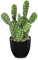 Kunstpflanze Kunstkakteen Kunstpflanze im Topf Pflanzen Dekoration Euphorbia Acrurensis Cactus Künstlicher Kaktus für Zuhause, Garten, Büro, Einweihungsgeschenke