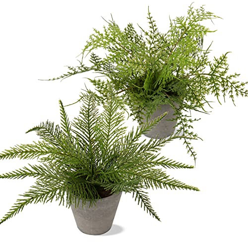 Oairse 2 Pack Artificial Boston Fern Plant in Pots Decorative Artificial Plant Small Fake Plants Indoor Faux Fern Potted for Home Bedroom Office Desk Room Decoration