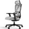 ProtoArc EC100 Bürostuhl Ergonomisch - Höherer Rücken Schreibtischstuhl mit 10CM Dickere Federpolsterung, Anpassbare Lendenwirbelstütze, Verstellbare Armlehnen und Kopfstütze - Grau