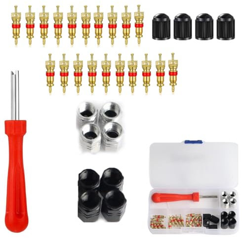BRITECO Kit de réparation de valve de pneu avec outil de démontage de valve - Kit complet d'entretien des pneus pour voitures, camions et motos - Comprend un extracteur de noyau de valve à tête