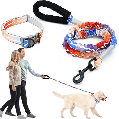 Saijer Correa Perro, Correa Elástica para Perros con Collar y Cómoda Asa para Paseos de Perros Medianos y Grandes Duradera Amortiguación Eficaz