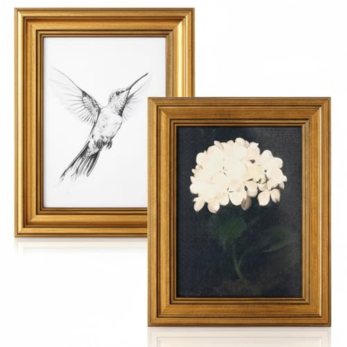 Humyoun 2 Pack Vintage Gold Frame Wall Art, 8x10 Inch Hummingbird and White Hydrangea Floral Canvas Print, Fall Decor for Living Room, Kitchen, Bedroom | Housewarming & Christmas Gifts