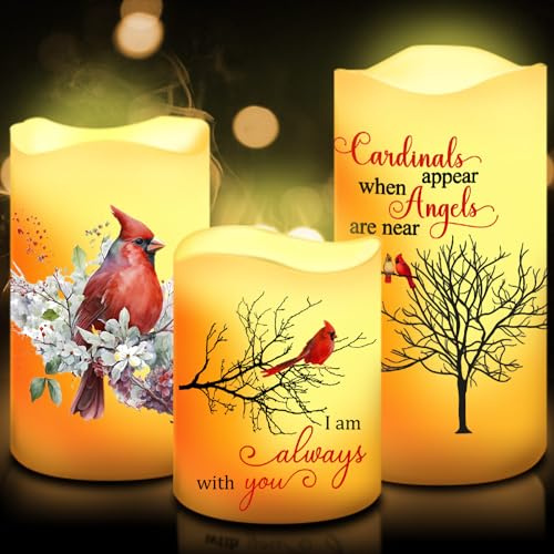 Tujoe 3 Pcs Memorial Candles Sympathy Gifts Cardinal Flameless Candles Christmas Sympathy LED Battery Operated Lights Memorial Gift for Loss of Mom, Father, Remembrance