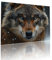 Puzzle Erwachsene 300 Teile Wolf Tier Educa Jigsaw für Kinder ab 8 Jahren Mädchen Jungen, Erwachsene Impossible Klassische Puzzles Schwer, Anspruchsvoll Spielspaß, Als Familienspiel 38x52cm t-420