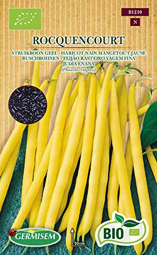 Germisem Biologico Rocquencourt Semi di Fagiolo Rampicante 80 g