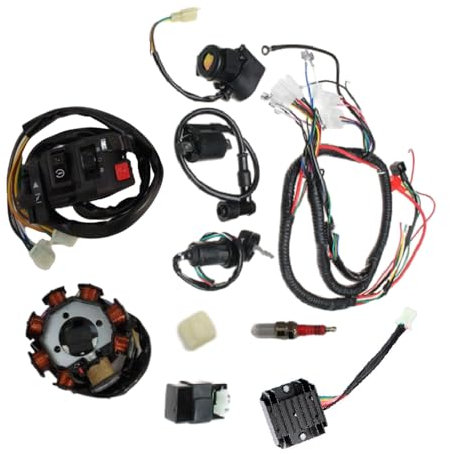Kacepar Quad electrique, Faisceau électrique complet Système d'allumage par bobine pour 150cc 200cc 250cc Quad Bike Pit Bike Dune Buggy, Harnais de câblage Kit de remplacement d'allumage CDI
